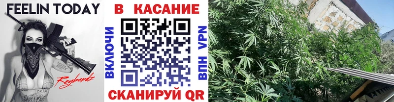 Сколько стоит Власиха Амфетамин  Марихуана  Псилоцибиновые грибы  МЕФ  Cocaine  ГАШИШ  СОЛЬ 