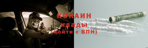молекула духа Осташков