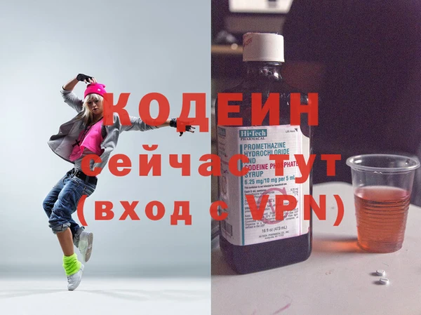 молекула духа Осташков