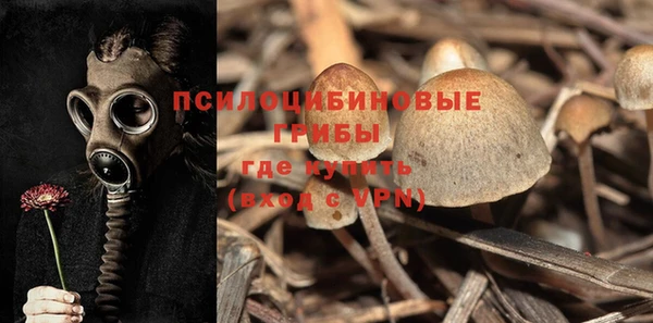 прущий лед Осинники