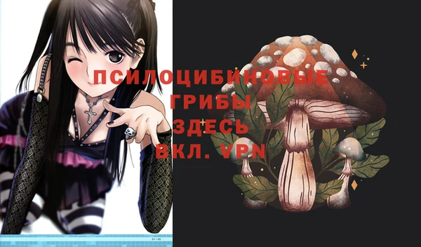 молекула духа Осташков