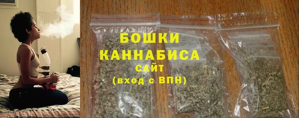 молекула духа Осташков