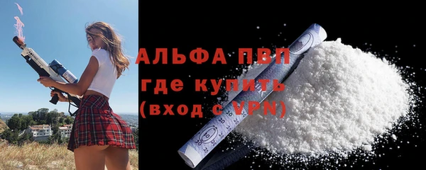молекула духа Осташков